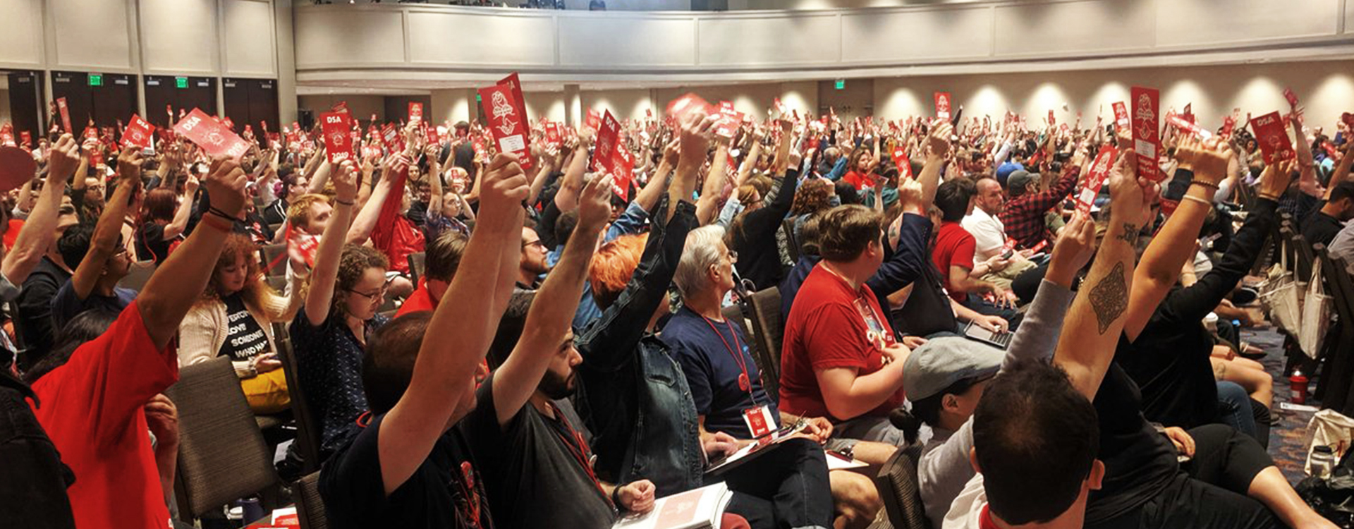 Perspectives on the DSA Convention - New Politics - Vimarsana News